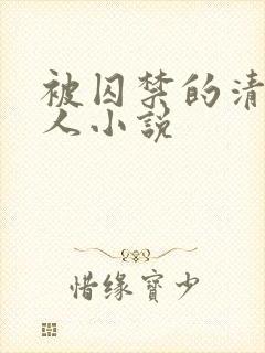 被囚禁的清冷美人小说