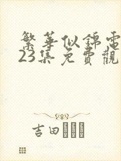 繁华似锦电视剧23集免费观看完整在线