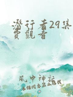 潜行者29集免费观看