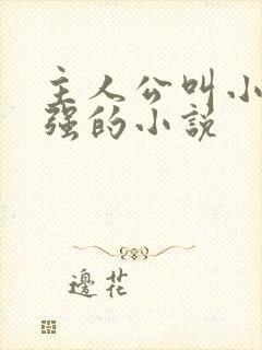 主人公叫小可志强的小说