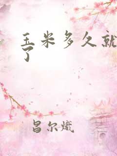 玉米多久就煮熟了