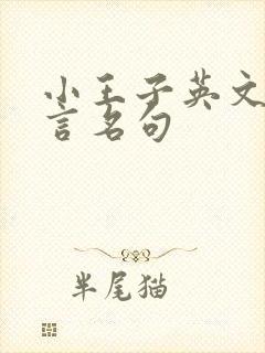 小王子英文版名言名句