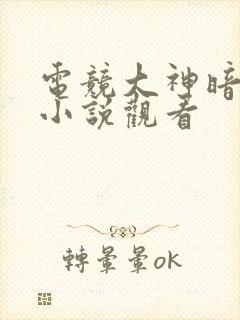 电竞大神暗恋我小说观看