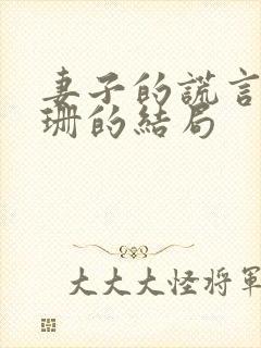 妻子的谎言江一珊的结局