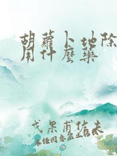 胡萝卜地除草剂用什么药