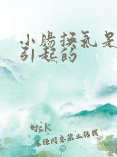 小肠换气是怎么引起的