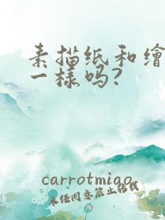 素描纸和绘画纸一样吗?