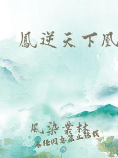 凤逆天下凰北月