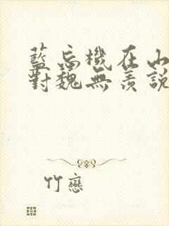 蓝忘机在山洞里对魏无羡说了什么