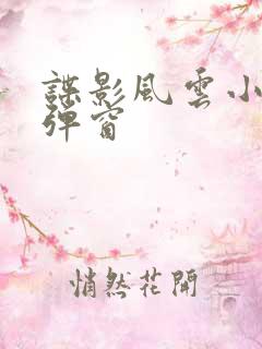 谍影风云小说无弹窗
