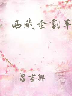 西藏企划平台