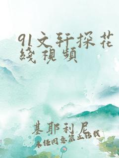 91文轩探花在线视频