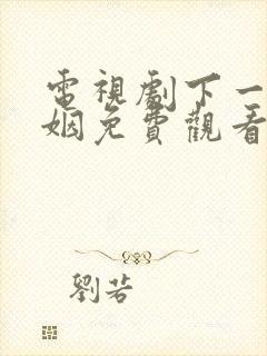 电视剧下一站婚姻免费观看完整版