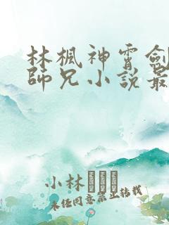 林枫神霄剑宗大师兄小说最新章节