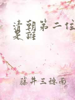 清朝第二位皇上是谁