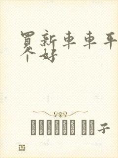 买新车车平台哪个好