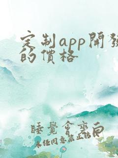 定制app开发的价格