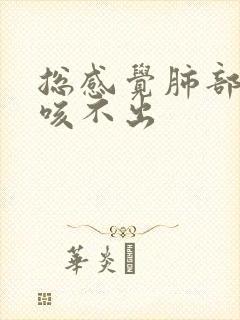 总感觉肺部有痰咳不出
