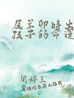 属羊卯时出生男孩子的命运