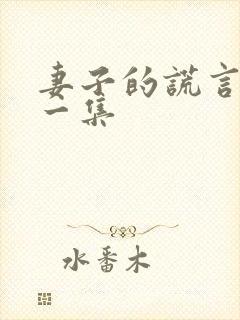 妻子的谎言最后一集
