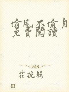 偷风不偷月北南免费阅读