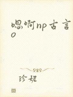 嗯啊np古言po