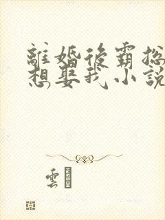 离婚后霸总天天想娶我小说txt