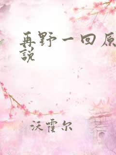 再野一回原著小说
