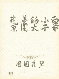 我养的小白脸是京圈太子爷女主
