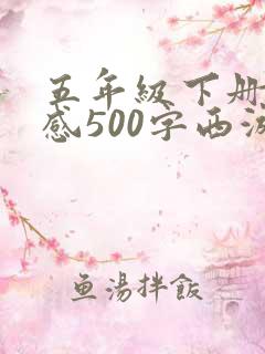 五年级下册读后感500字西游记