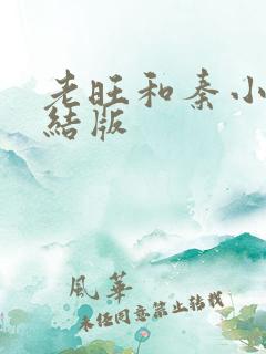 老旺和秦小雨完结版