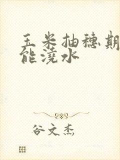 玉米抽穗期能不能浇水