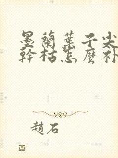 墨兰叶子尖发黄干枯怎么补救