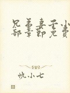 兄弟妻子小敏全部章节免费阅读