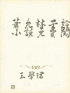 萧允林子衿穿越小说免费阅读无弹窗