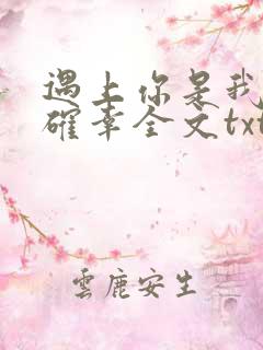 遇上你是我的小确幸全文txt下载