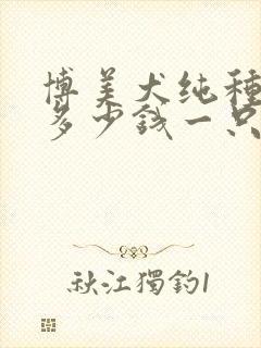 博美犬纯种价格多少钱一只