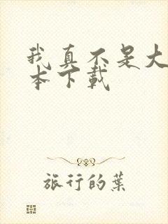 我真不是大佬全本下载