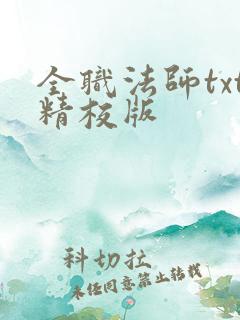 全职法师txt精校版