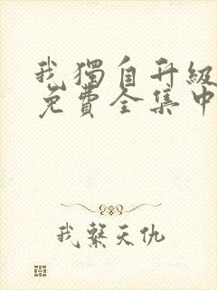我独自升级动漫免费全集中文版