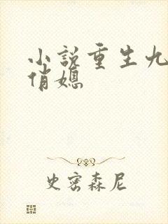 小说重生九零小俏媳
