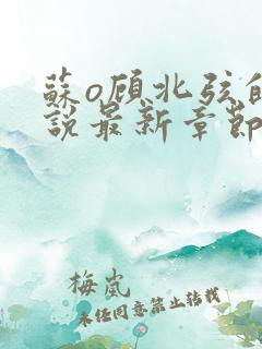 苏o顾北弦的小说最新章节免费阅读