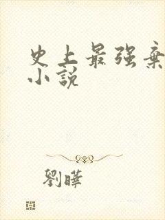 史上最强弃婿 小说