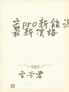 宋pro新能源最新价格
