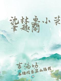 沈林鲁小荣小说笔趣阁