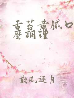 舌苔黄腻口苦怎么调理