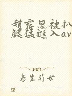 赵露思被扒开双腿猛进入av
