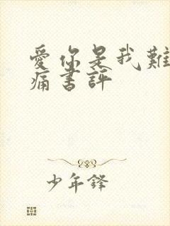 爱你是我难言的痛书评