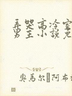 弄哭高冷室友双男主小说免费阅读