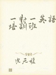 一对一英语口语培训班